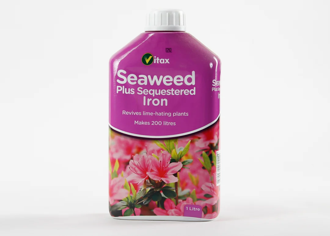 Seaweed Feed 1
